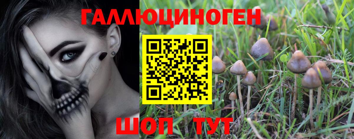 Галлюциногенные грибы Magic Shrooms  Галлюциногенные грибы Magic Shrooms  Вход с VPN  Красноармейск 